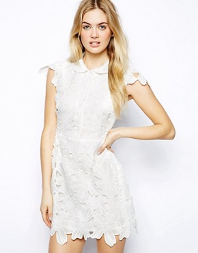 Arrogant Cat London Embroidered Skater Dress with Collar 