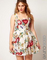 ASOS CURVE Dolly Skater With Floral Embroidery