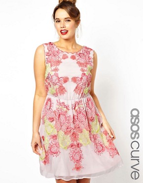 ASOS CURVE Exclusive Salon Dress With Scallop Edge Applique 