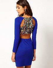 Paprika Bodycon Dress with Multi Sequin Back