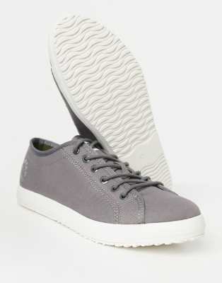 lacoste pour homme chaussure