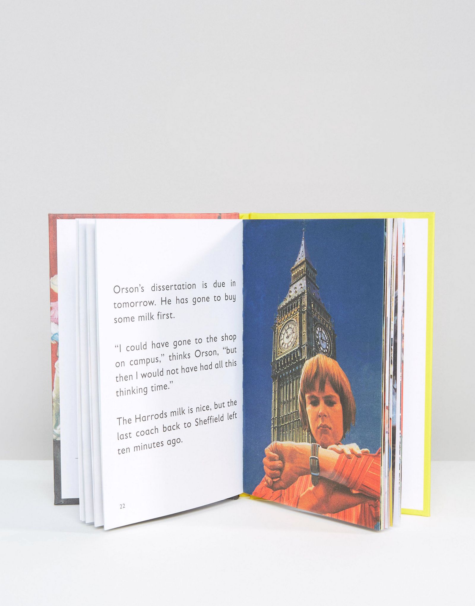 The Ladybird Book of The Student