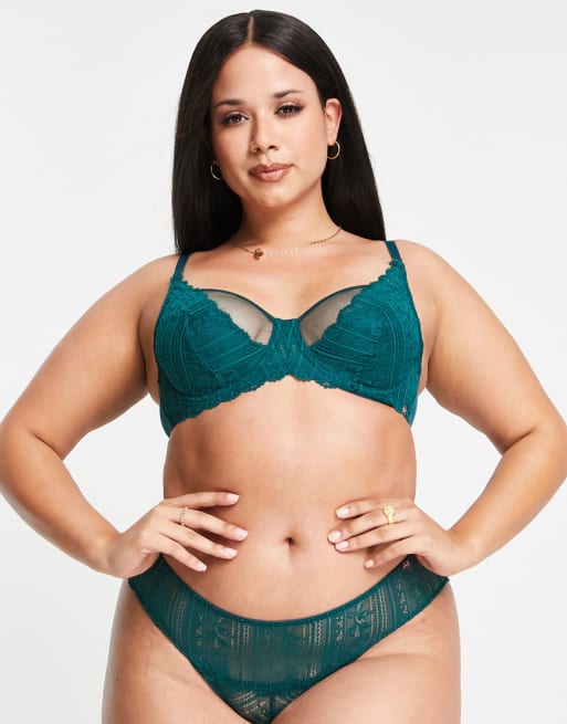 Dorina Curve Moss lace and mesh lingerie set in green