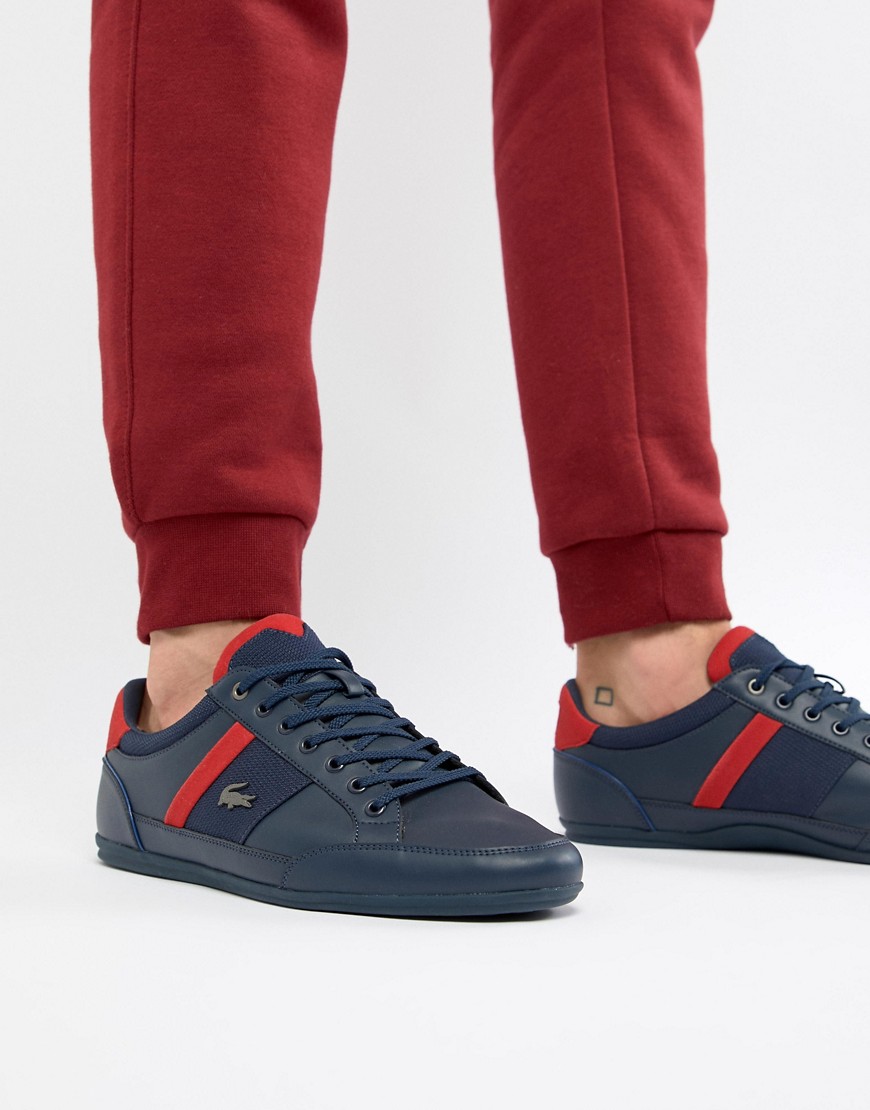 Lacoste Chaymon 318 1 trainers in navy
