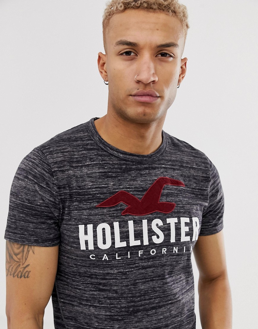 Hollister chest embroidered seagull logo t-shirt in black marl
