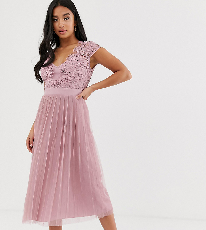 Little Mistress Petite capped sleeve lace midi dress with tulle skirt