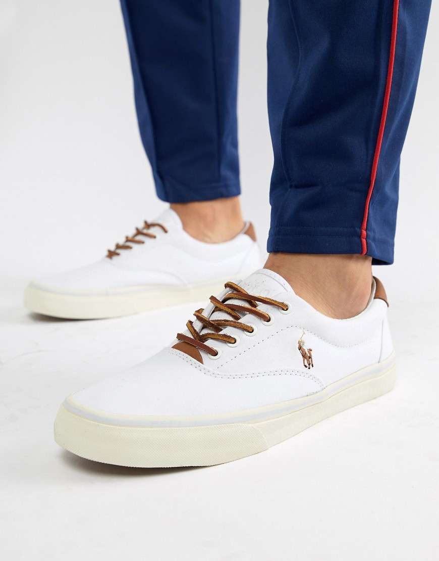 polo canvas trainers