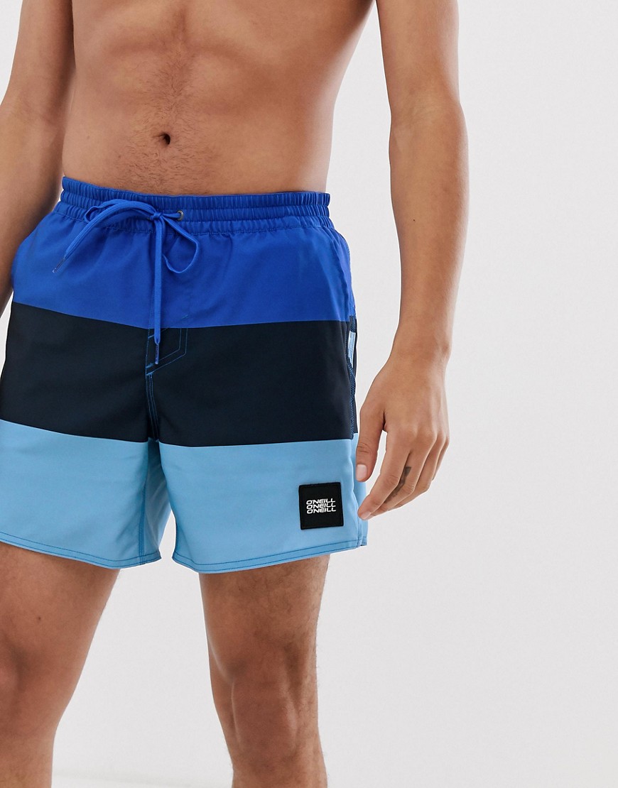 O'Neill Vert-Horizon board shorts in blue