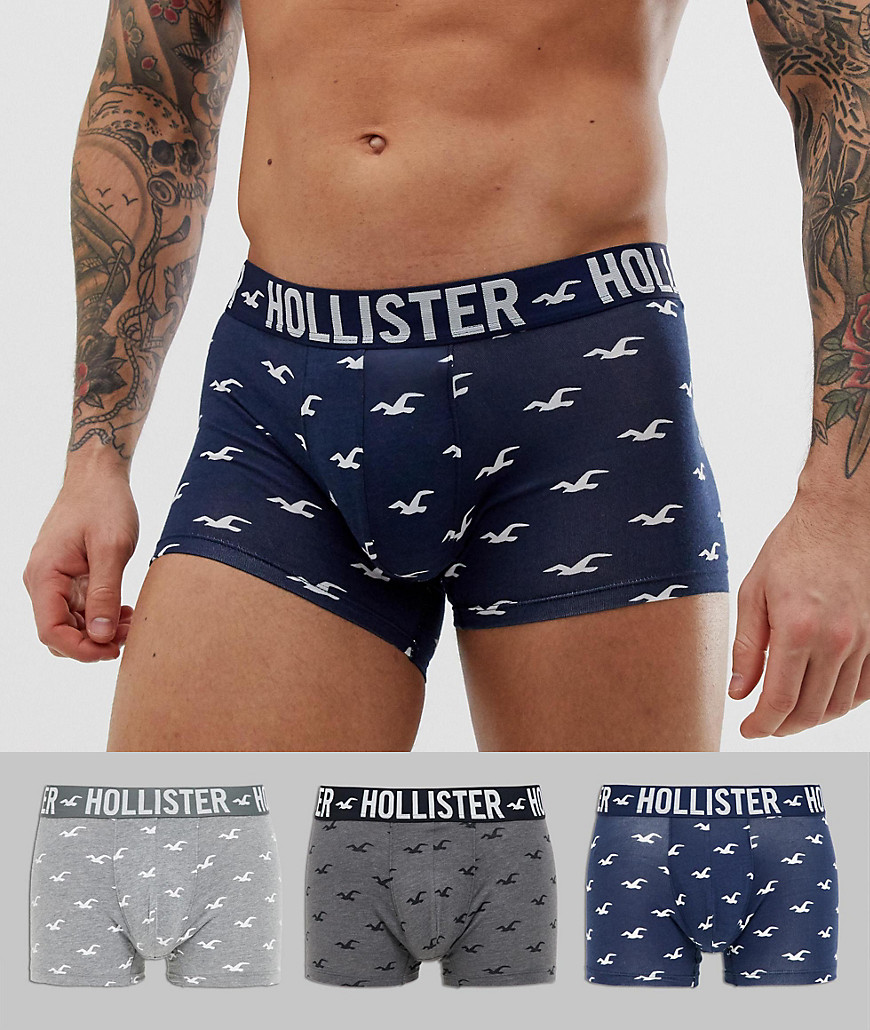Hollister 3 pack trunks logo waistband in navy/white solid & navy seagull print