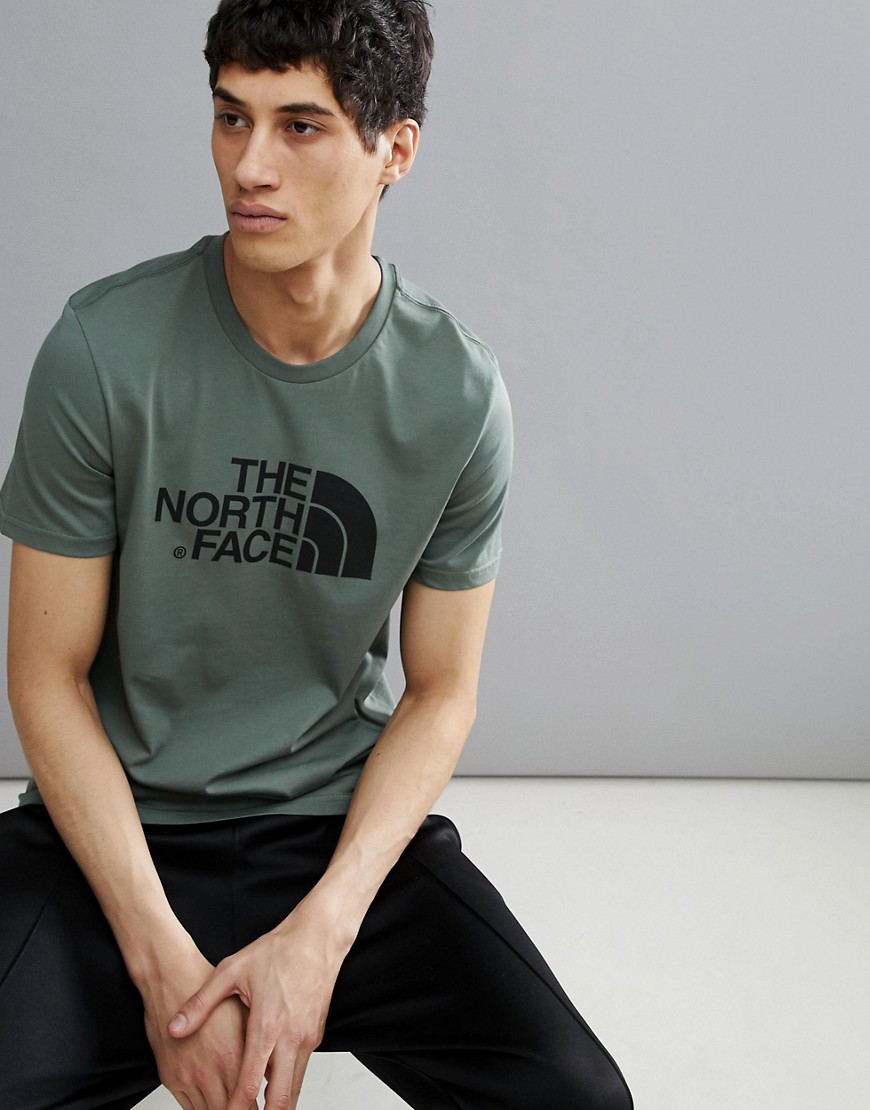 The North Face Easy T-Shirt Large Logo In Green - Thyme