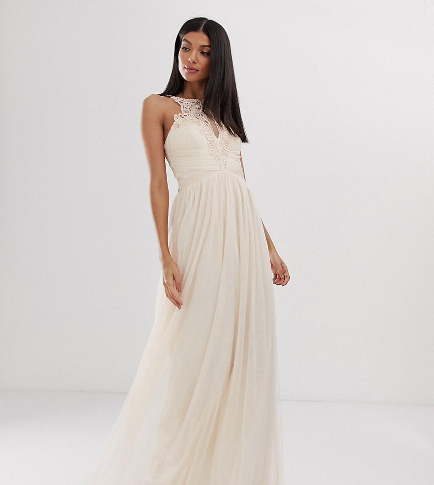 Little Mistress Tall tulle maxi dress with lace detail