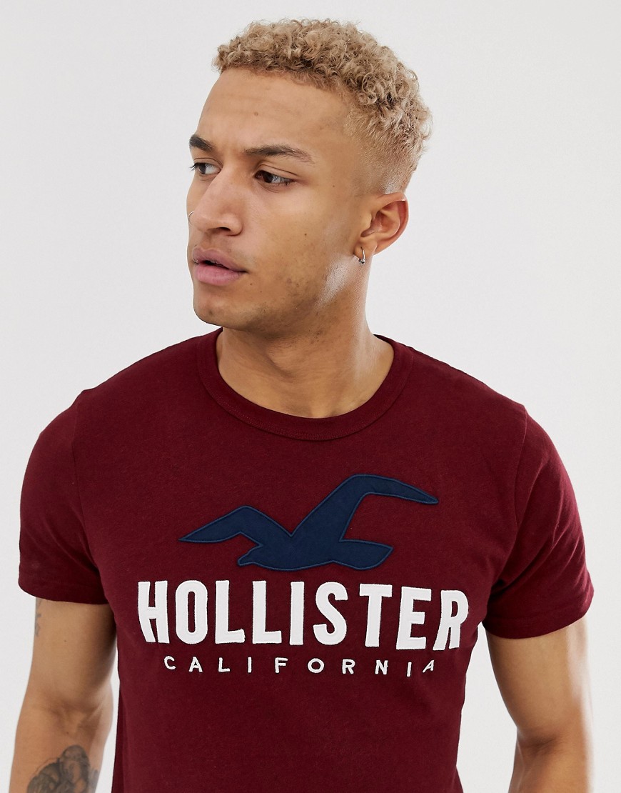 Hollister chest embroidered seagull logo t-shirt in burgundy