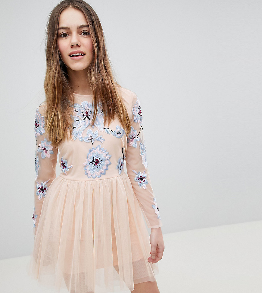 ASOS DESIGN Petite pastel embroidered tulle mini dress