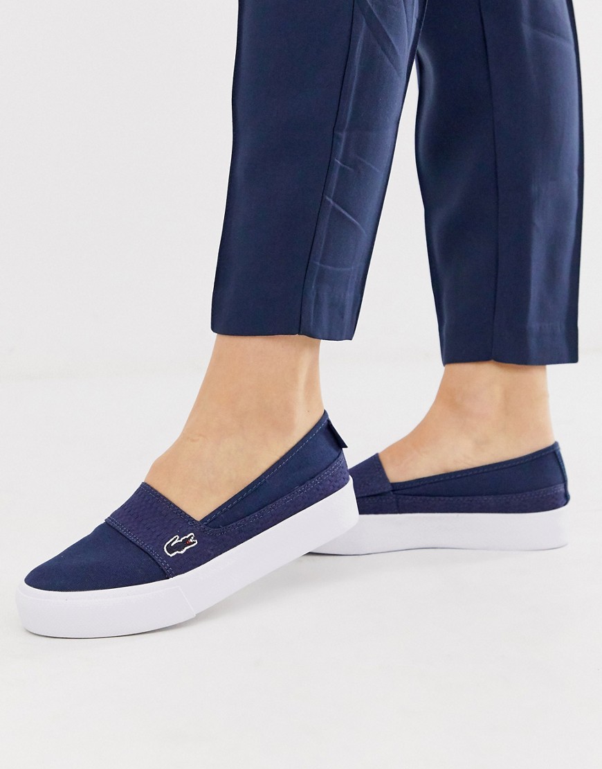 Lacoste canvas trainers in navy