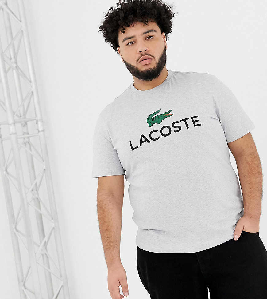 Lacoste large croc logo t-shirt in grey
