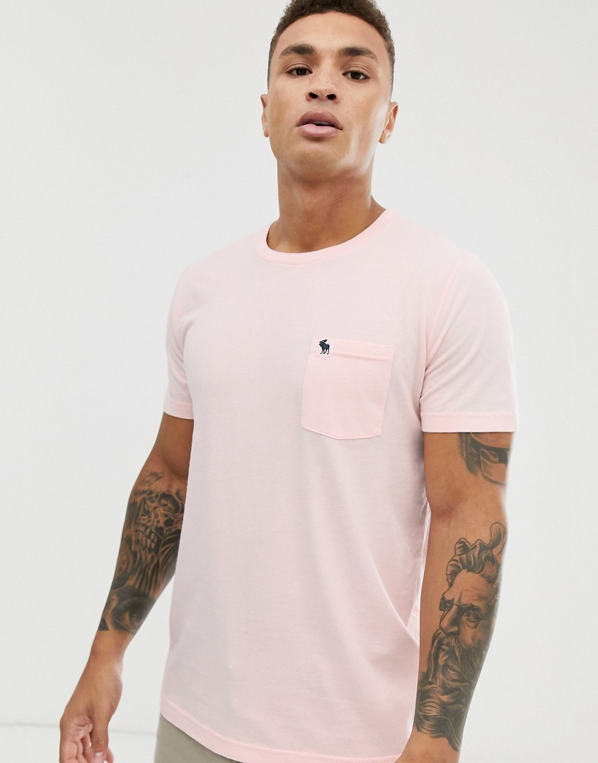 Abercrombie & Fitch icon logo crewneck t-shirt in pink