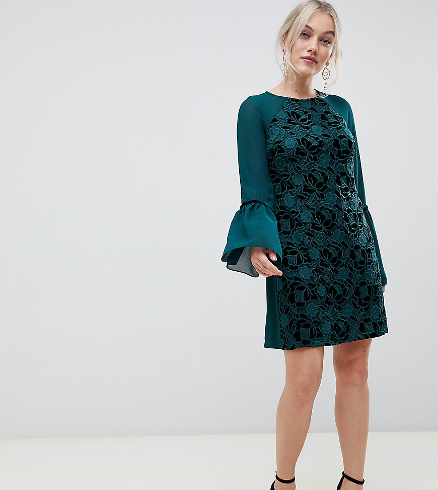 Paper Dolls Petite velvet lace shift dress with sheer sleeve in emerald