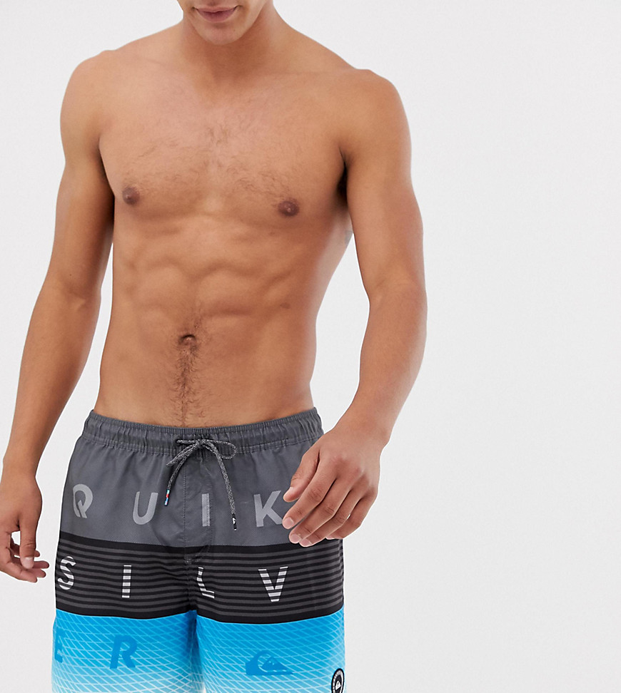 Quiksilver Worldblock boardshorts in grey and blue