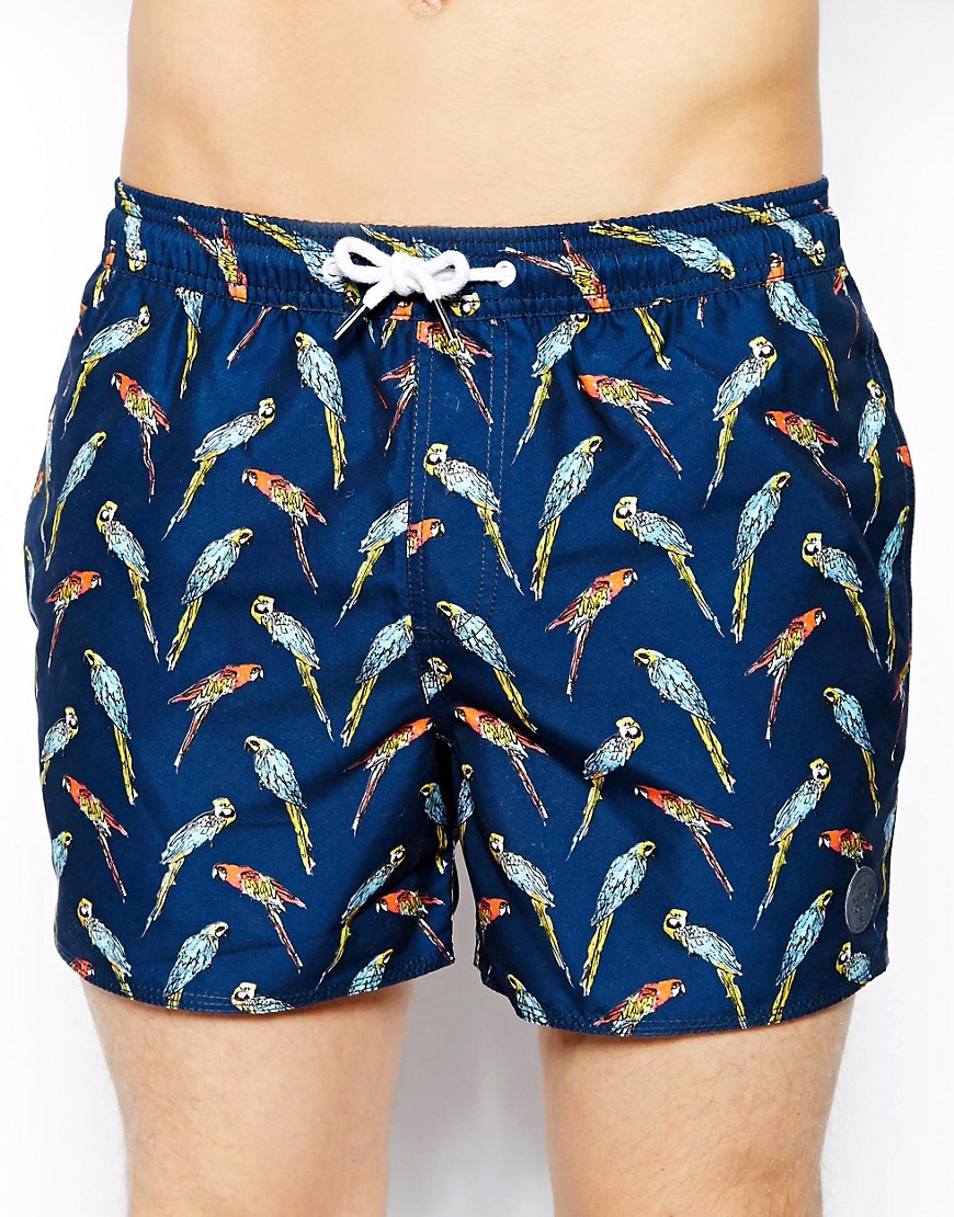 Native Youth | Native Youth Swim Shorts In Parrot Print at ASOS