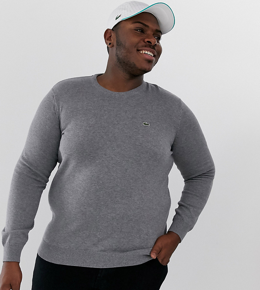 Lacoste logo crew neck cotton knit jumper in dark grey