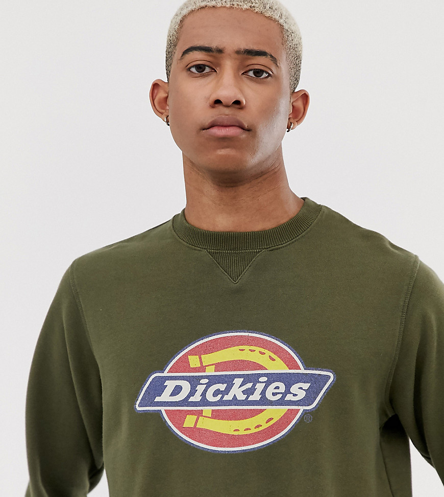 Dickies HS logo sweatshirt in green