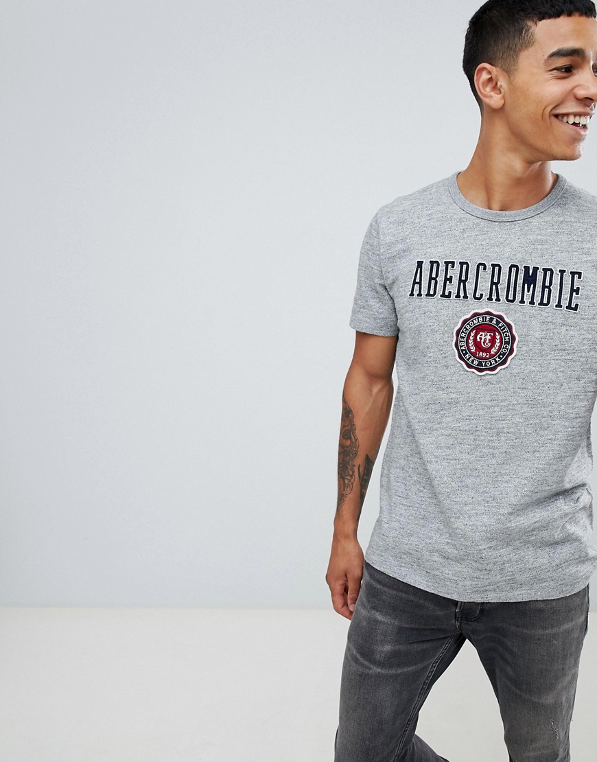 Abercrombie & Fitch tech elevated applique logo t-shirt in grey marl
