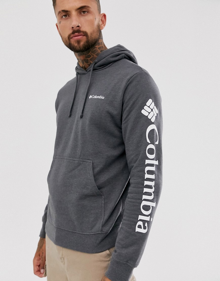 Columbia Viewmont II sleeve graphic hoodie in grey