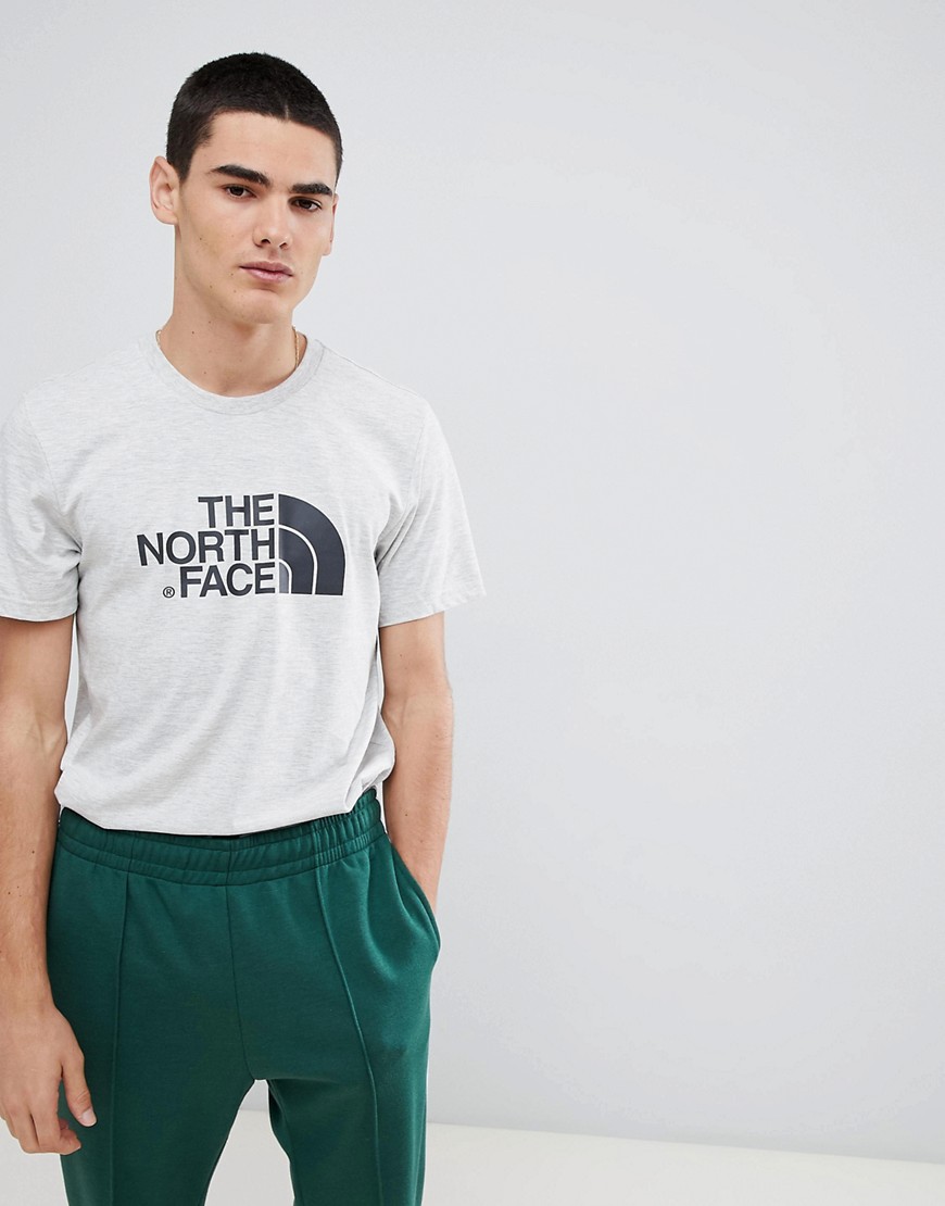 The North Face Easy T-Shirt in Oat Grey - Grey