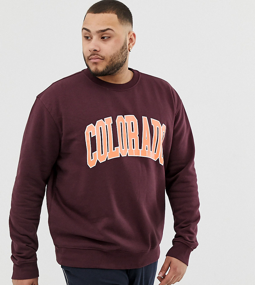 New Look Plus sweat with Colorado in burgundy