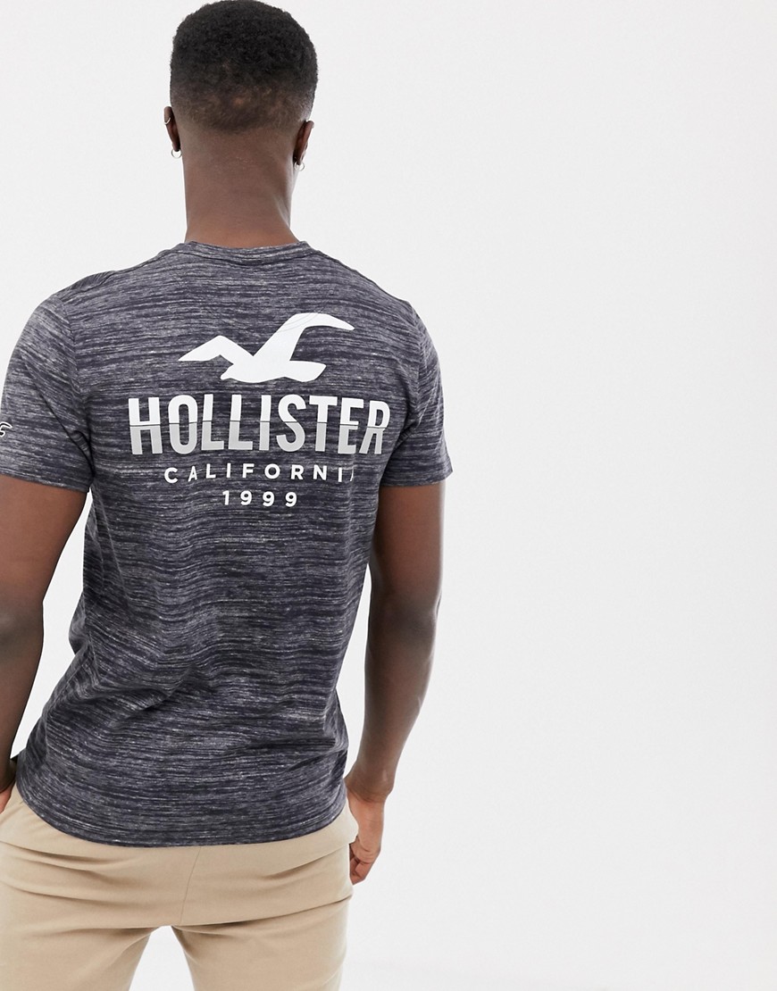Hollister icon logo crew neck t-shirt with back print in grey texture