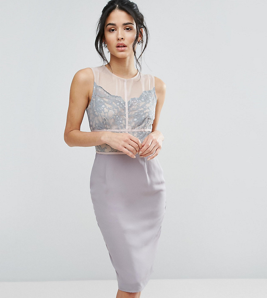 Elise Ryan Scallop Lace Pencil Dress With Contrast Panelling