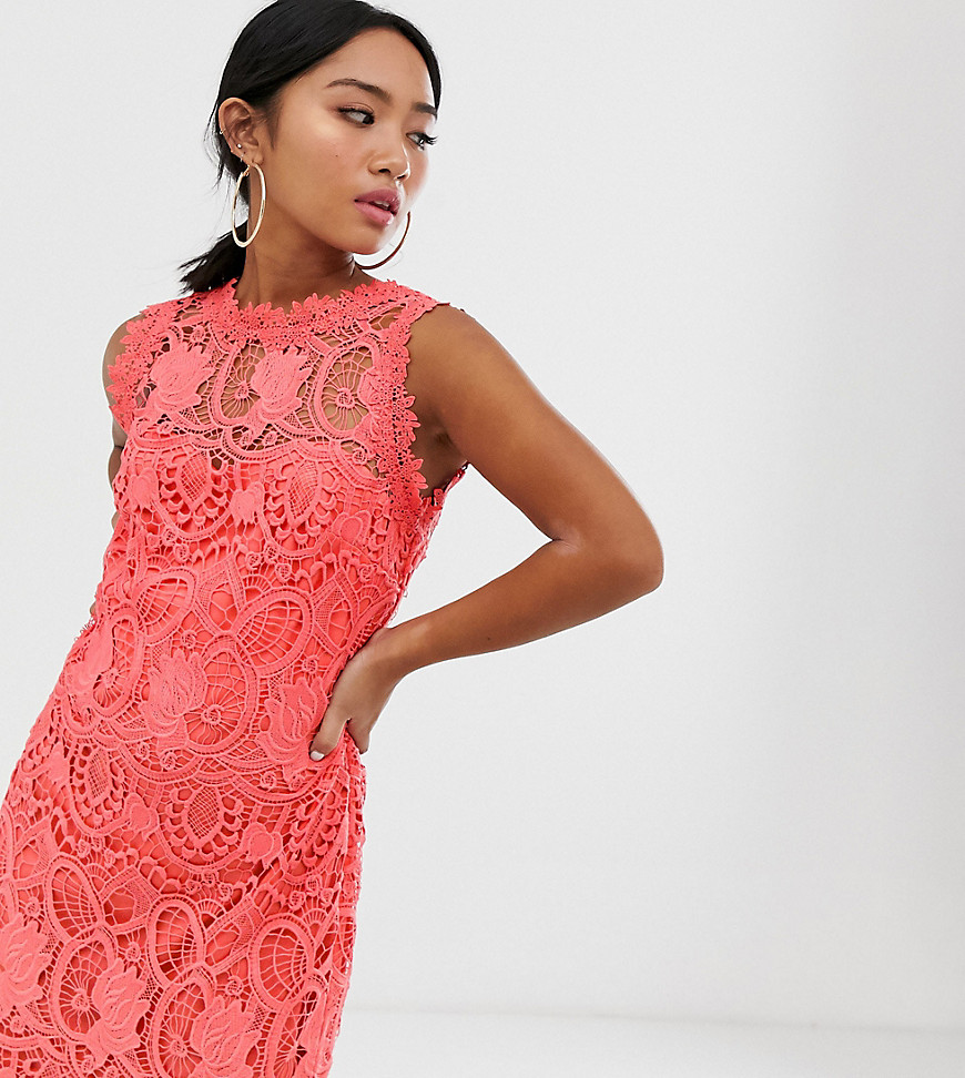Paper Dolls Petite high neck lace pencil dress in soft coral