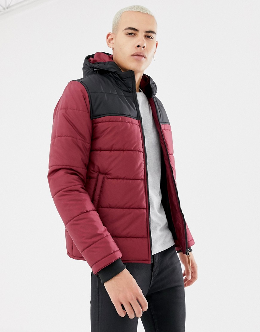 Parka London block colour padded jacket