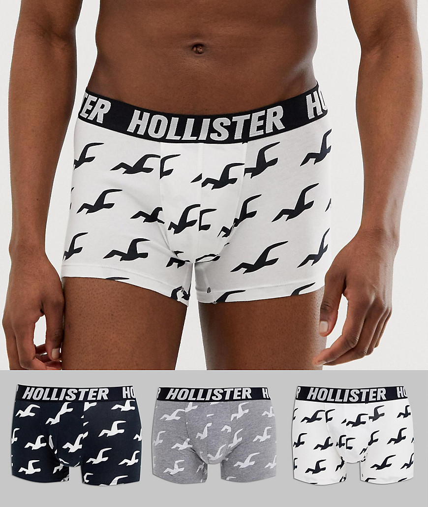 Hollister 3 pack trunks logo waistband & all over seagull print in black/grey/white