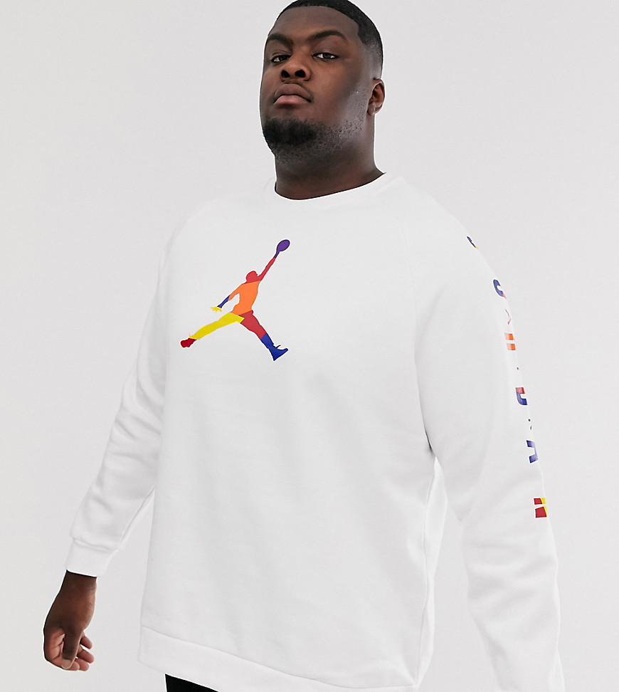 Jordan Plus Logo Sweatshirt in White