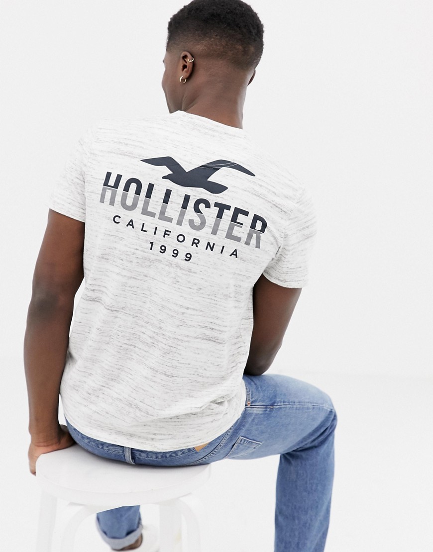 Hollister icon logo crew neck t-shirt with back print in white texture