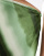 Thumbnail 5 van 5