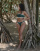 Thumbnail 4 of 4