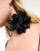 Thumbnail 3 of 4