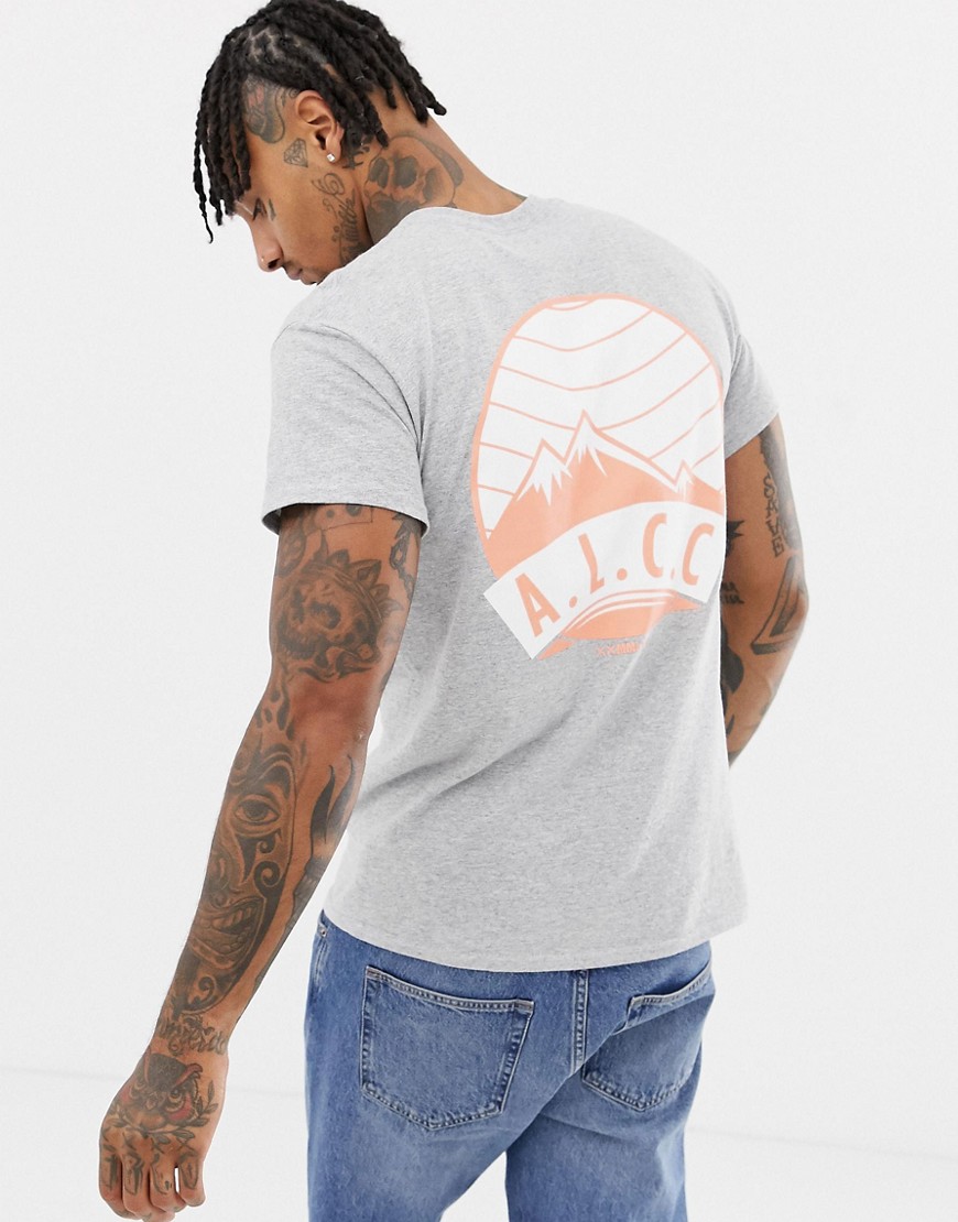 Abz London - A london – alpine – t-shirt med tryck på ryggen-grå