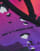 Thumbnail 3 von 4