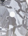 Thumbnail 3 of 4