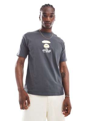 AAPE BY A BATHING APE® Aape by A Bathing Ape logo chest t-shirt in grey