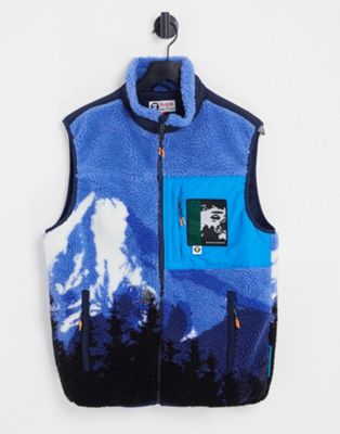 AAPE by A Bathing Ape sherpa mount snow print gilet in blue - ASOS Price Checker