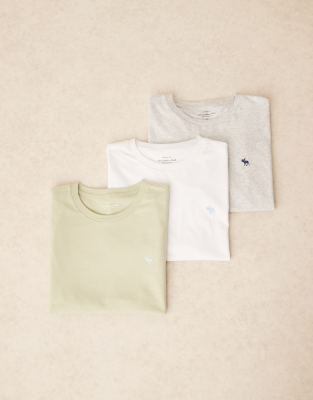 Abercrombie & Fitch 3 Pack Short Sleeve Icon Logo T-shirts