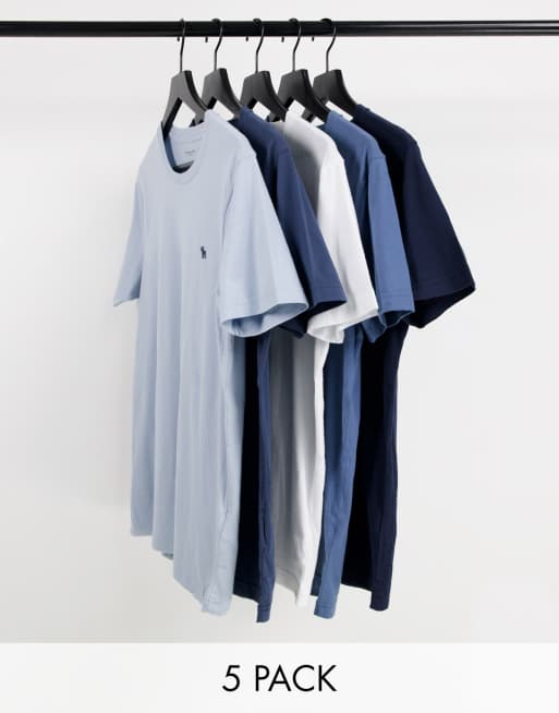 Abercrombie & Fitch 5 pack icon logo t-shirt in blues and white
