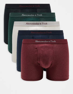 Abercrombie & Fitch 5 pack logo tonal waistband trunks in multi φωτογραφία