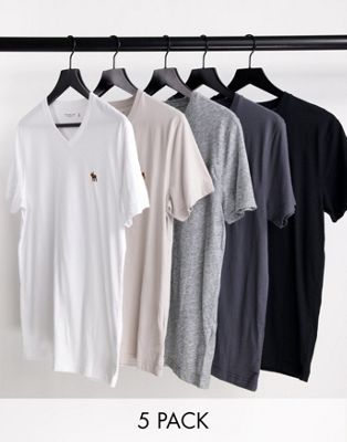 Abercrombie & Fitch 5 pack v-neck 3D icon logo t-shirt in white/beige/greys/black