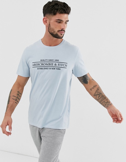 Abercrombie & Fitch address logo print t-shirt in light blue