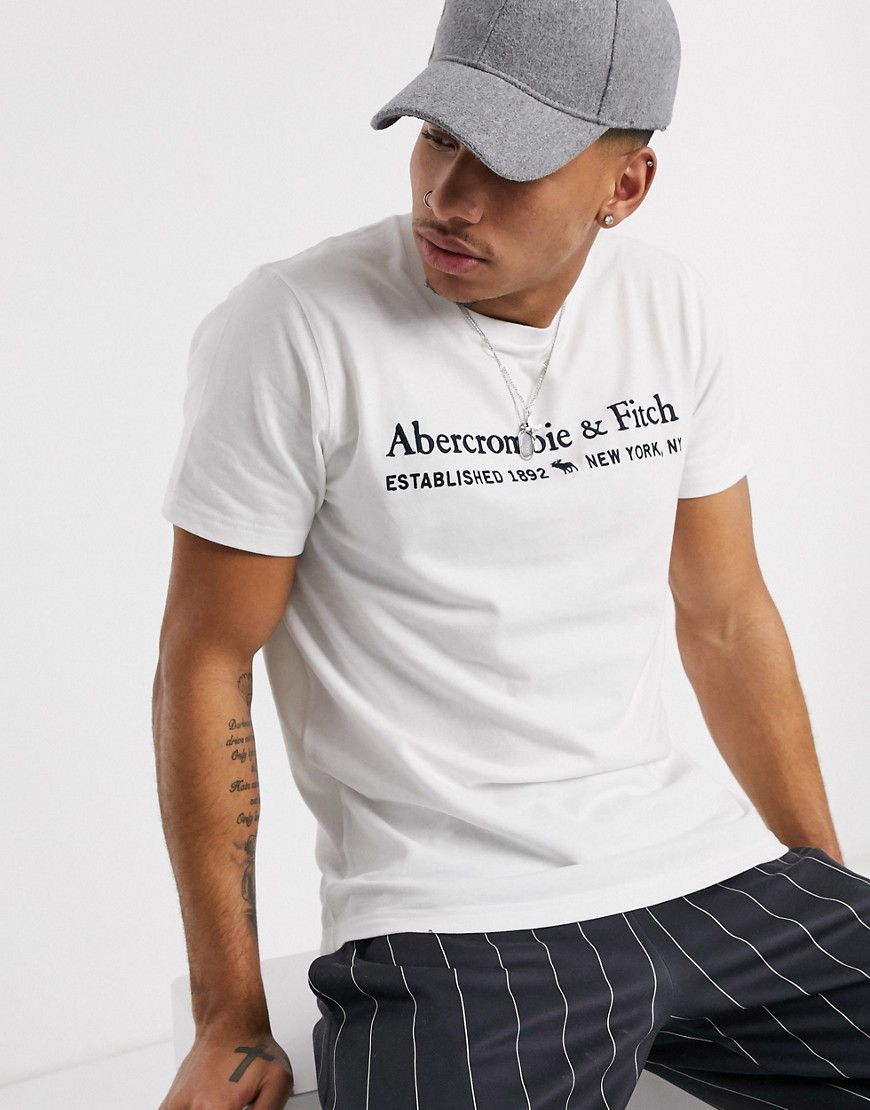 Abercrombie & Fitch Applique Icon crew neck t-shirt in white